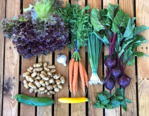 selection of vegetables from the e Olympia Farmers Market on a table 