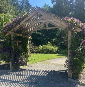 large wooden arbor with climbing flowers at Samarkand Rose Garden