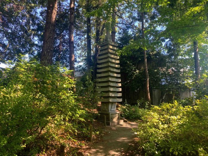 Thurston county gardens Yashiro-Garden-Pagoda bushes and trees in the Yashiro Japanese Garden in Thurston County, Washington