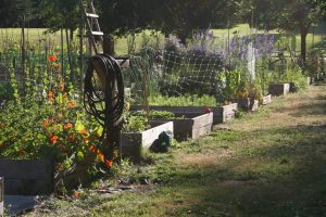 Sunrise Park Community Garden