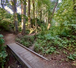 Garfield Nature Trail in West Olympia