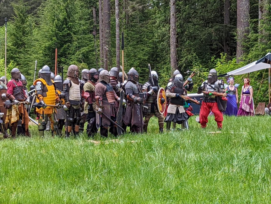 a group of people dressed as vikings on a field