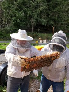 two beekeepers holding a huge honeycomb