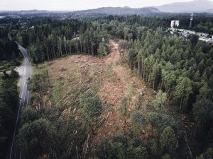 Aerial view of the clear-cut Cooper Crest property on the Northwest corner of Cooper Point Road NW and 20th Ave NW. 