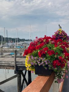 huge hanging baskets of flowers on the Downtown Olympia boardwalk