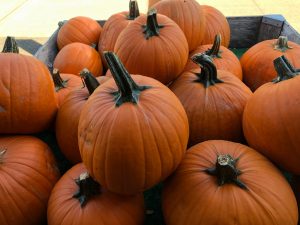 a pile of pumpkins at