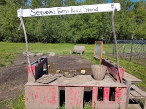 farm stand at Sequoia's Farm School