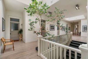 upstairs landing with a plant in the White Building in Olympia