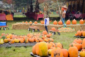 Crossroads Community Covenant Church pumpkin patch in Yelm