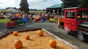 Hunter Family Farm pumpkins with a kiddie train