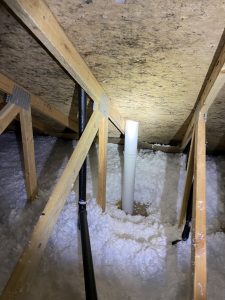 mold in an attic found by a Boggs home inspector
