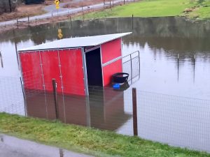 pasture and lean two flooded with water at Cross Creek Alpaca Rescue in Tenino