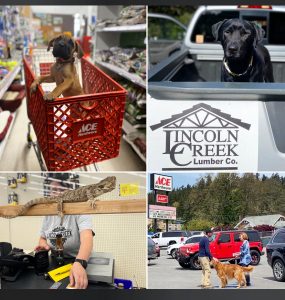 a collage of photos of pets incside Lincoln Creek Lumber stores