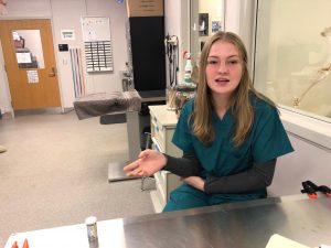 Audrey Zinis, a veterinary assistant student at New Marquette and a junior at Tumwater High School, sits on the exam table 