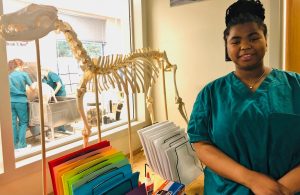 Aryanna, a student at the New Market Skills Center, stands by the school window with a replica of a dog skeleton behind her