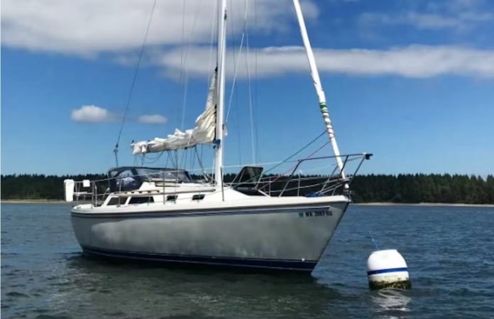 sailboat on the water in Olympia