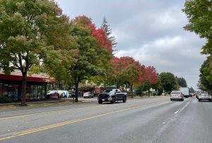 martin way in Olympia with trees turning red