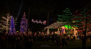 lighted Christmas parade in the City of Lacey