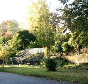 east olympia home with a green yard and hedge