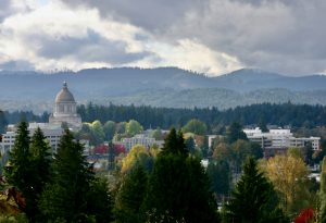 view of the capitol building in Olympia from McCormick Street SE