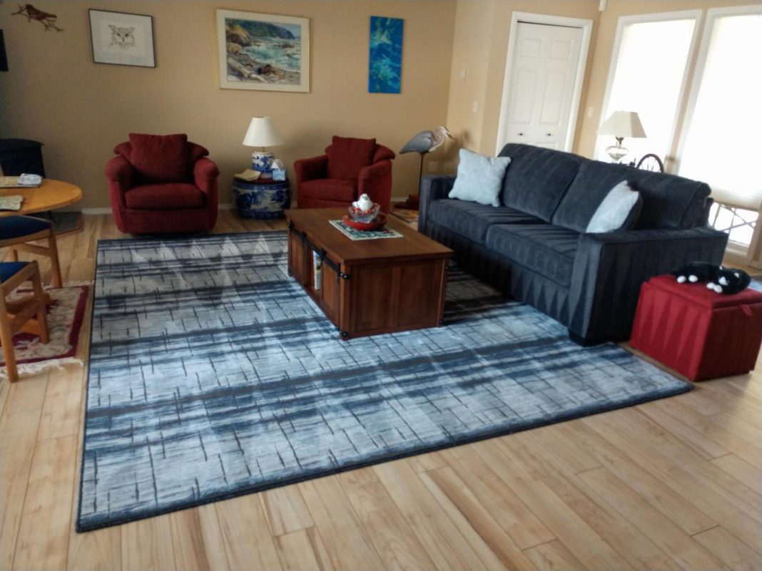 living room with a couch and a rug that has recently been cleaned
