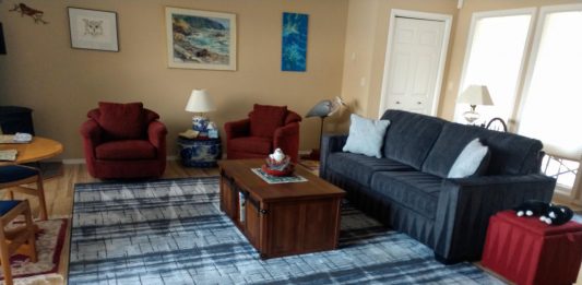 living room with a couch and a rug that has recently been cleaned