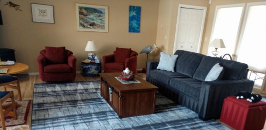 living room with a couch and a rug that has recently been cleaned