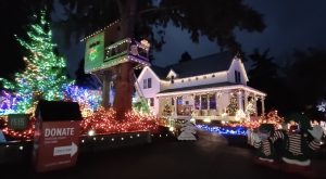 Oly Lightstravaganza covered in Christmas Lights in Olympia