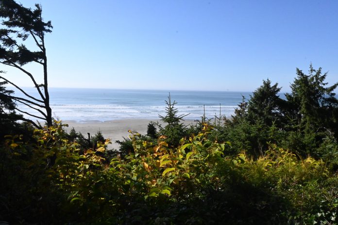 view of the ocean from Ocean Crest Resort