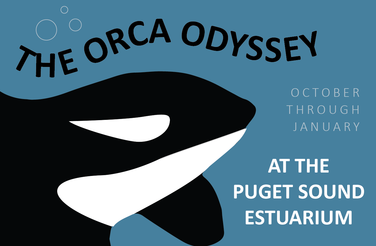 Free Admission Day Orca Odyssey Exhibit ThurstonTalk