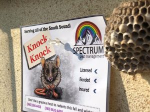 bulletin board with a Spectrum Pest Management business card on it