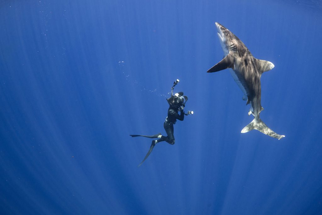 underwater photo of Andy Mann with a  whitetip shark 