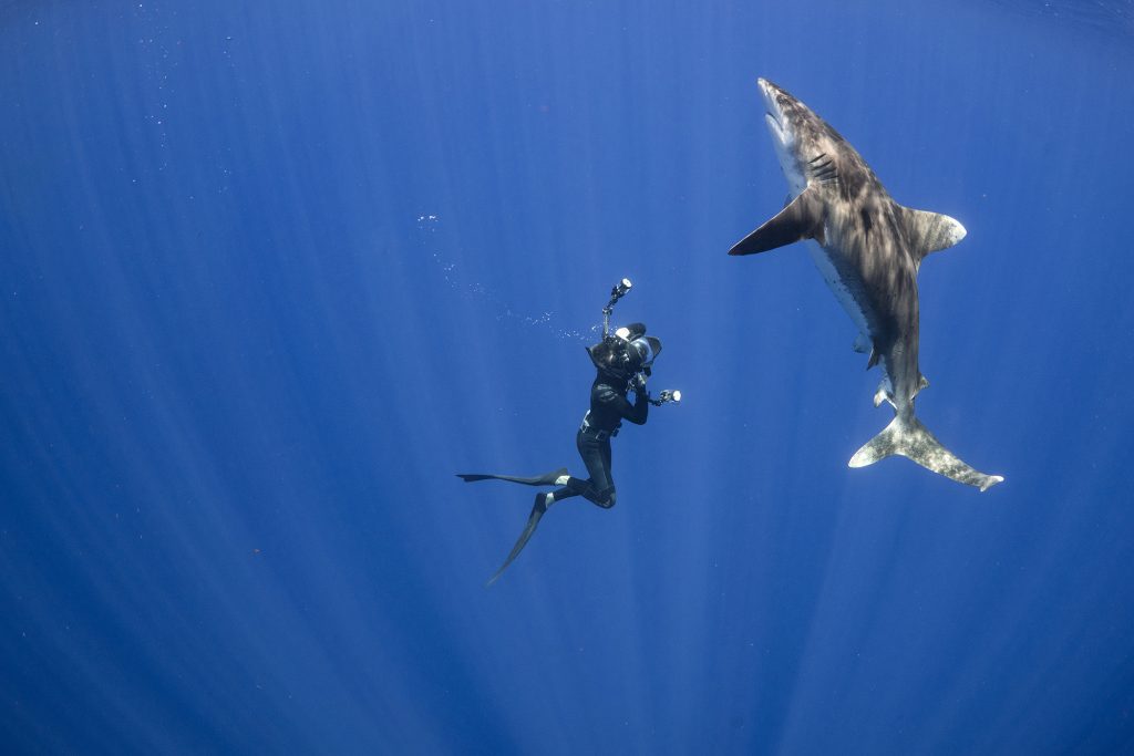 underwater photo of Andy Mann with a whitetip shark