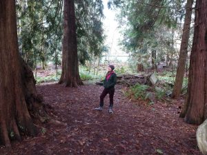 Chrissa Waters standing in old growth cedar in Olympia