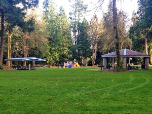 Wonderwood Park playground in Lacey