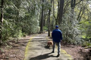 Person walking their dog on a paved path on the Wonderwood trails in Lacey
