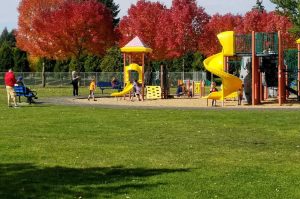 playground with yellow slides and swings at Rainier Vista Community Park in Lacey