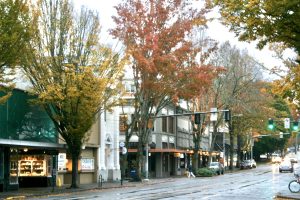 tree-lined street in Olympia