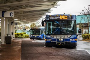 Intercity Transit buses at a station