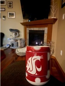 close up of a red and white coffee mug with a fireplace and cat tree in the background