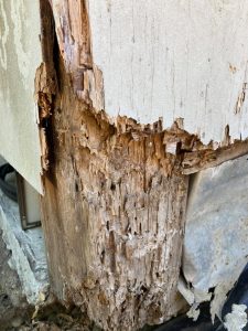 house with wood eaten away from Carpenter ants