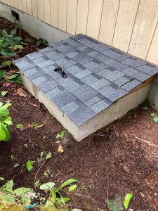 lid on a crawlspace in the ground