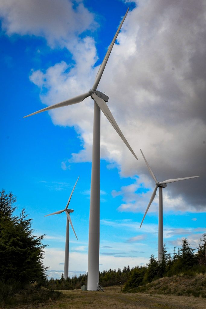 Windmills for wind power in Grasy Harbor