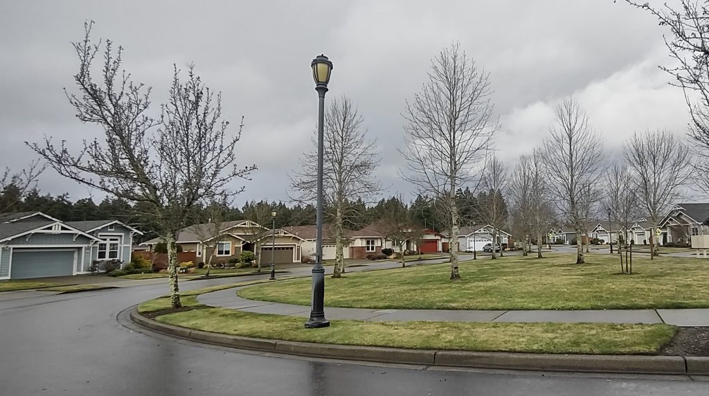 green spaces along the roads in Jubilee