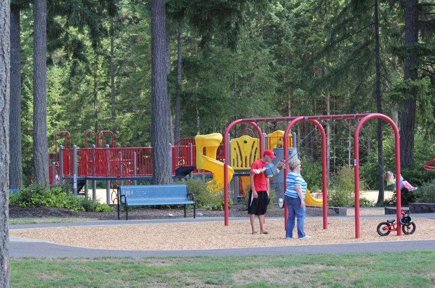 Meridian Park playground in Hawks Prairie with a jungle gym