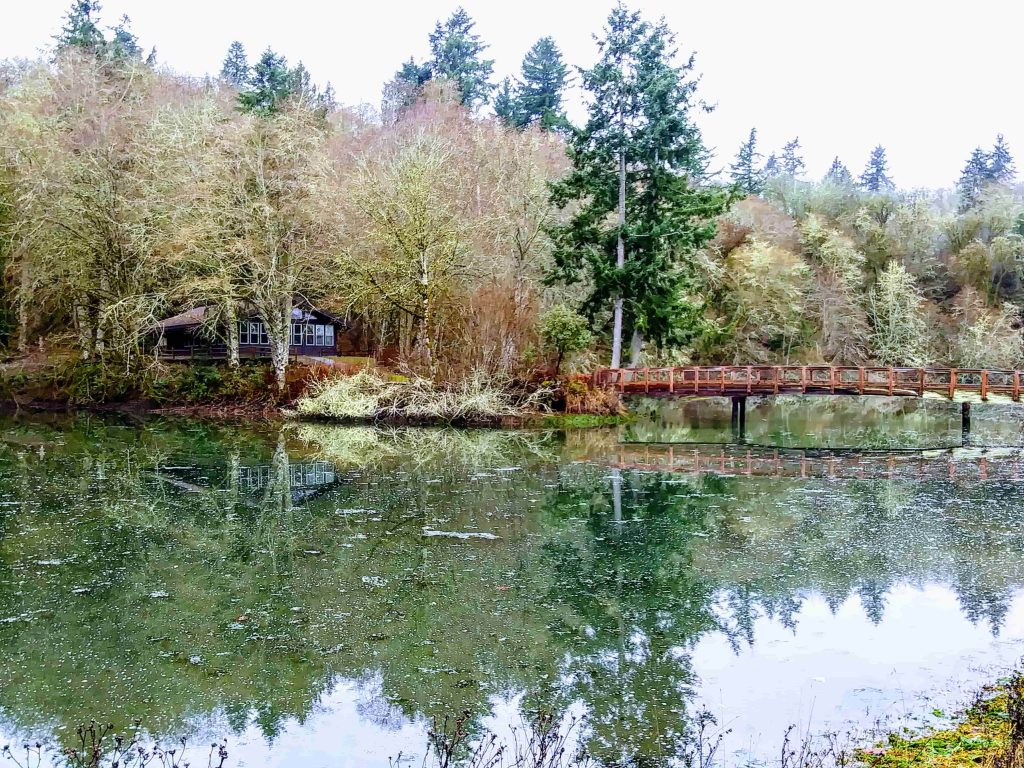 lake and trees at Tolmie State Park