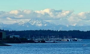 view of the puget sound from Bayview Thriftway in Olympia