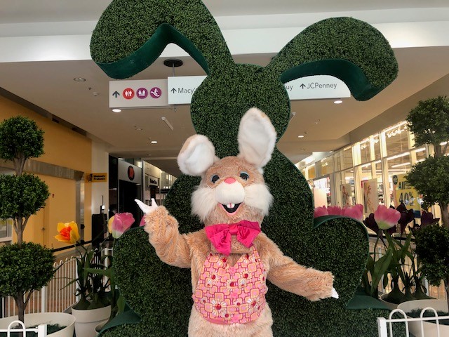 Person dressed as a Brown Easter Bunny inside Capital Mall