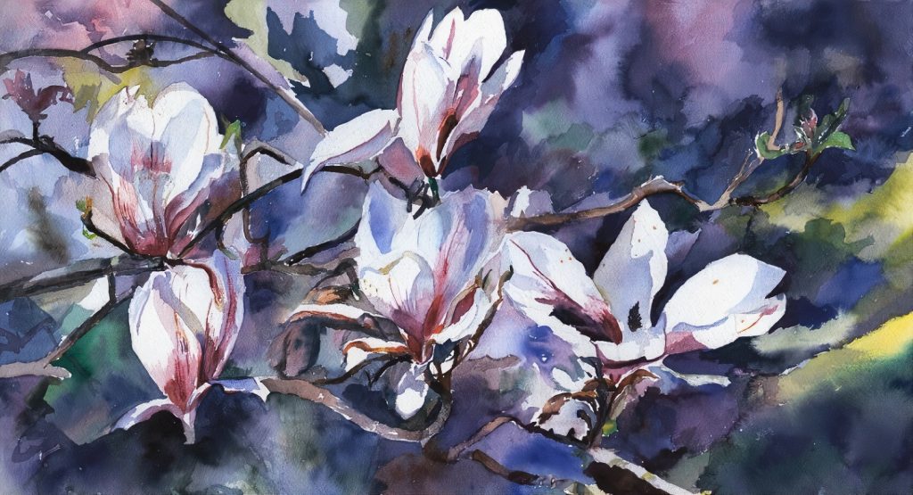 A magnolia watercolor by Jane King.