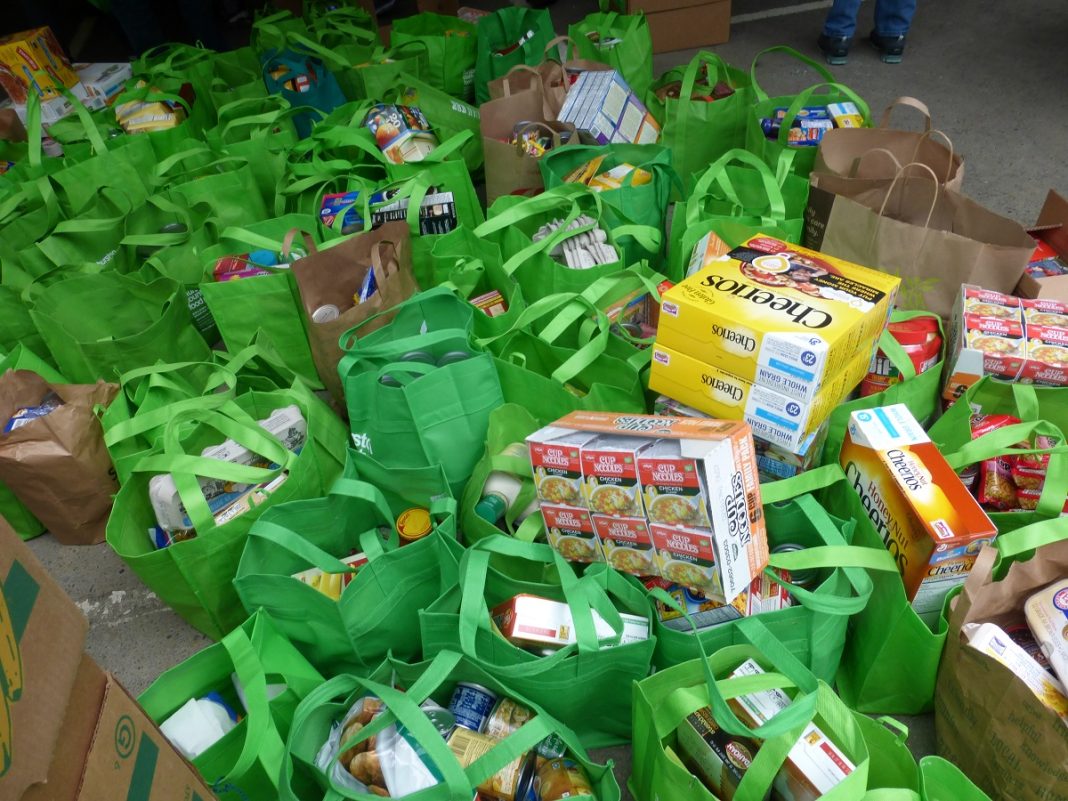 a bunch of Thurston County Food Project green bags overflowing with food